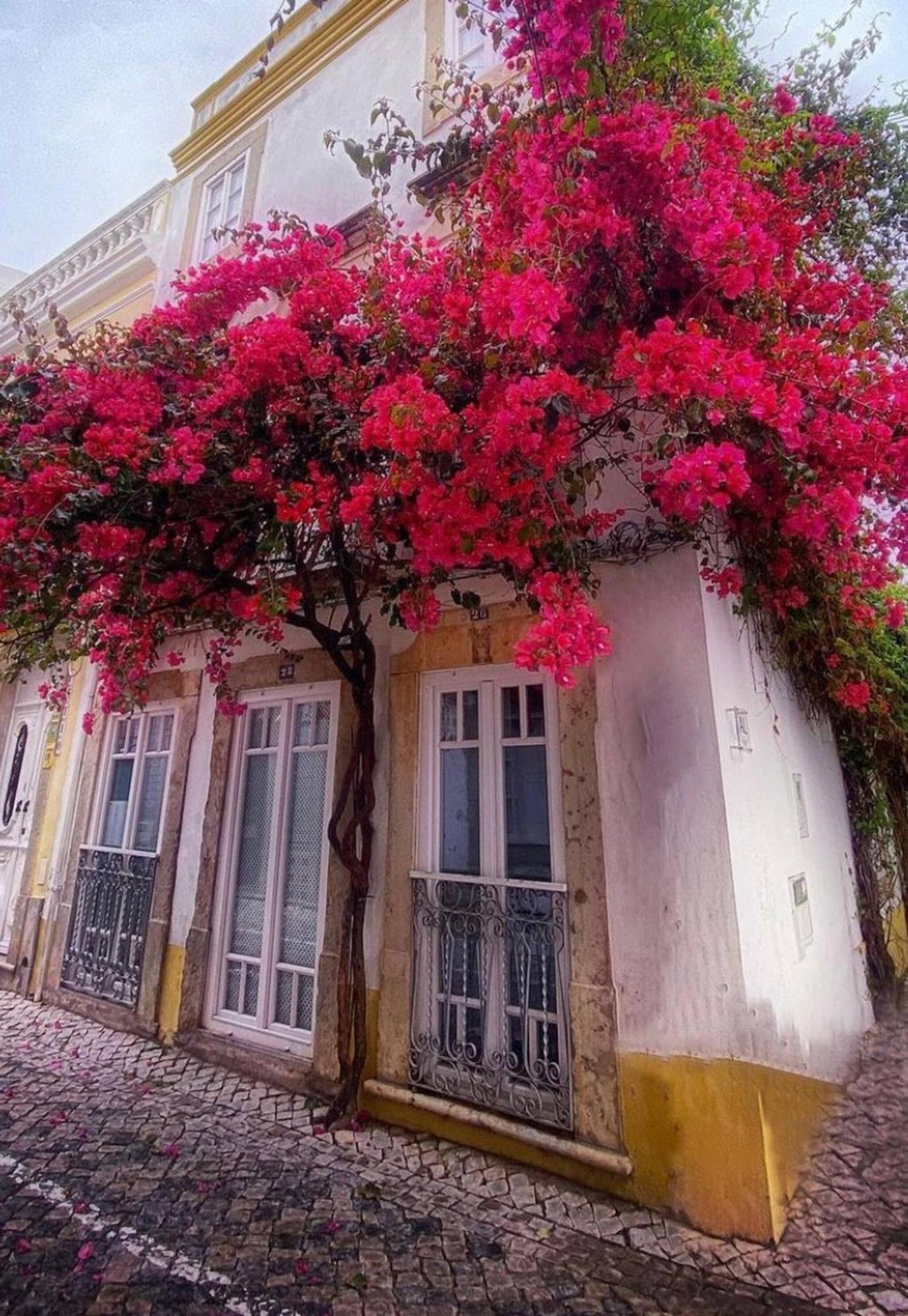 Chic Suite Sequa In Taviras Historical Centre Dış mekan fotoğraf